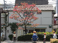 南品川広場公園(南品川5丁目)