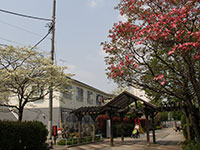 東中はなみずき公園(中延2丁目・東中延1丁目)