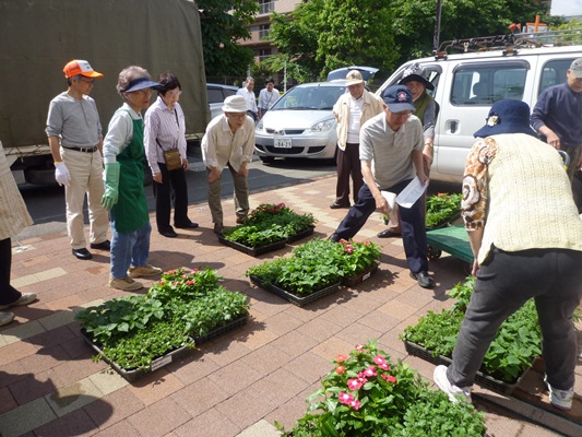 花苗頒布(高齢者クラブ)