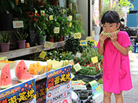 食べ歩き