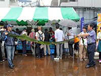 宮古の若芽をPR