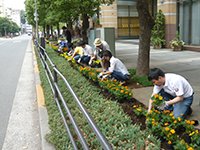コルベ建機 花植え