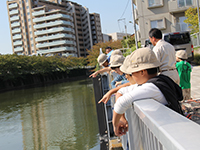 目黒川の観察