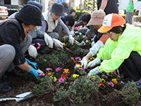 皆で協力して植え付け