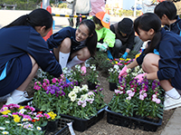 豊葉学園の生徒も応援に