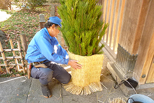 門松づくり　こもを巻く