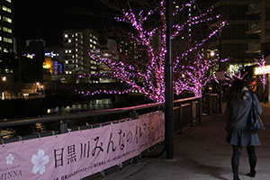 目黒川みんなのイルミネーション横断幕