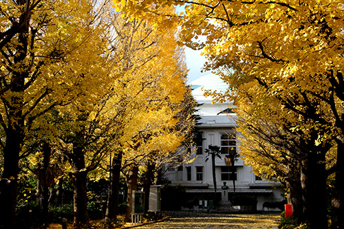 星薬科大学