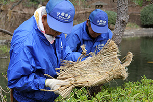 わらのこもの中にいる害虫をさがす