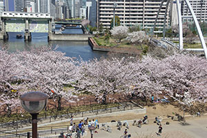 屋上庭園より見下ろす