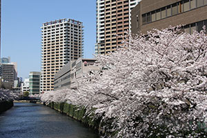 ビル群を背景に