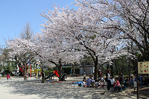 荏原南公園