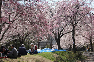 東品川海上公園