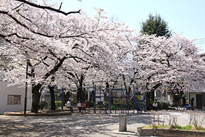 公園全景