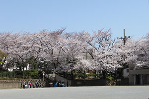 立会道路より