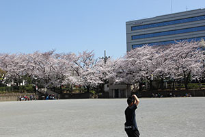 広場全景