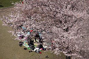 しながわ中央公園