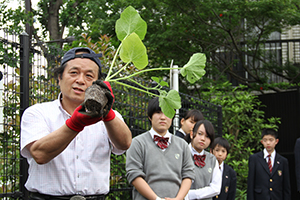 植え方の説明