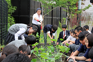 苗植えを見守る大塚さん