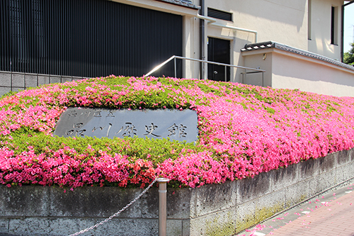 品川歴史館建物の横に植えられたサツキ