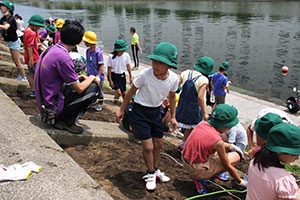 勝島運河沿いのしながわ花海道