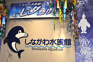 水族館入口の七夕祭りサイン