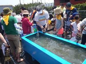 採った貝を海水で洗っています