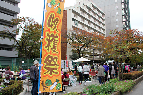 マイガーデン南大井収穫祭会場