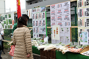 江戸野菜の展示