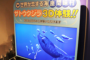 ホエールウオッチング展