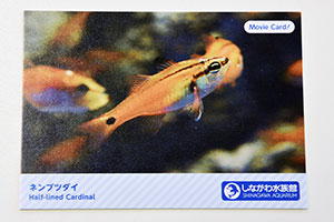 「Movie Card!」(表)