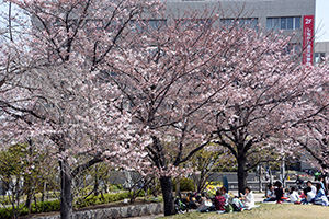 しながわ中央公園