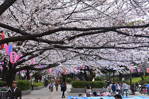 大井水神公園