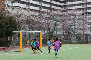 コミュニティプラザに咲く桜