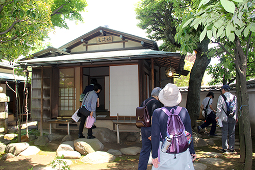 松滴庵を観に訪れた来館者