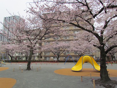 東品川公園風景写真