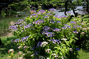 しながわ区民公園