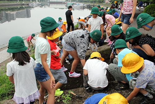 鮫浜小学校全校児童でコスモスの種まき