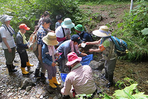 閉伊川の水源地を目指したトレッキング