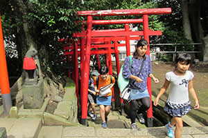 品川神社内の稲荷鳥居