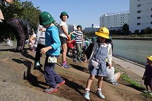 青空の下、運河を横に菜の花の種まき