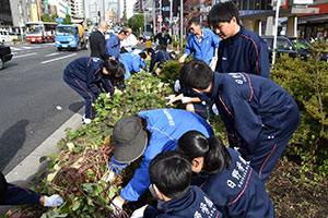 五反田花壇芋掘り