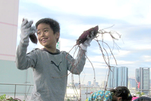 堀った芋を見せる子ども