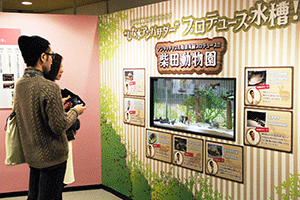 特別水槽「柴田動物園」