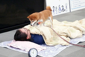 聴導犬の大切さ