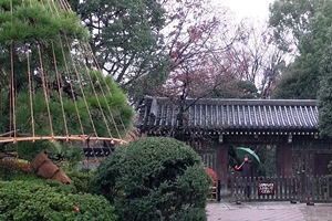 雪つりを見上げる来園者