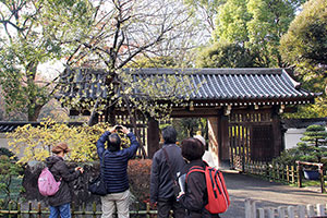 戸越公園　写真を撮る人たち