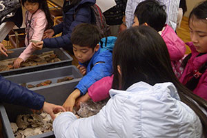 土器片に触れる子どもたち