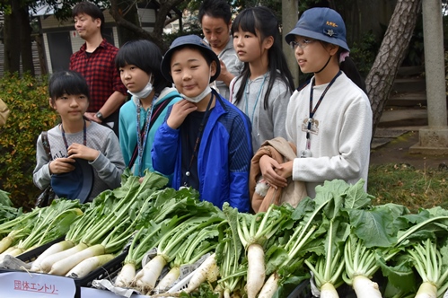 自分たちの作った品川カブについて説明する大井第一小学校児童