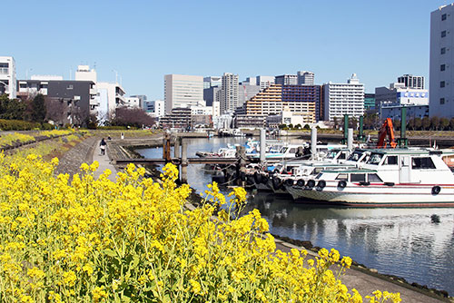 葉の花と運河